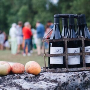 Nuit-Saint-Georges Aux Vignerondes 1er Cru Domaine Pascale Rion Delhautal 2022